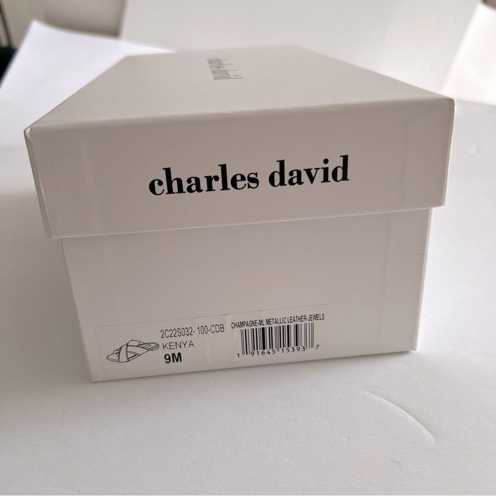 CHARLES DAVID KENYA EMBELLISHED METALLIC LEATHER FLAT SANDALS SIZE 9 NEW IN BOX - Picture 11 of 12